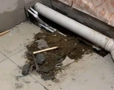 和林格尔卫生间漏水检测哪家好